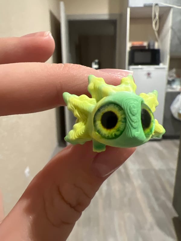 Person displays 3D-printed creature figurine in Krasnoyarsk kitchen