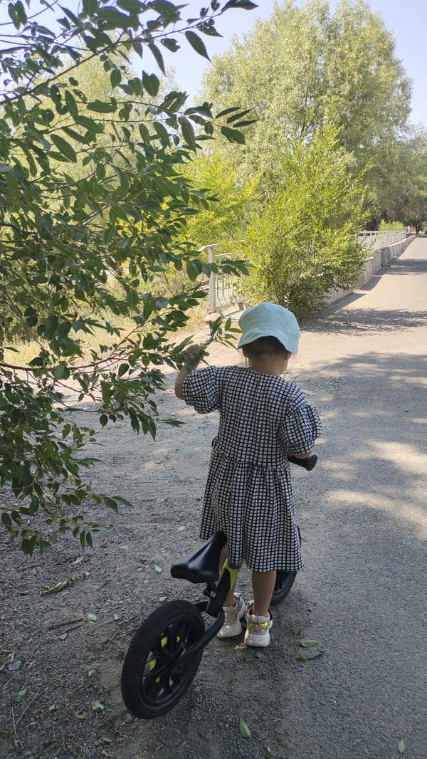 Balance bike on a gravel path beside a wide, quiet river