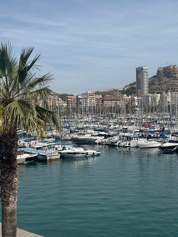 Sunny morning scenes documented at Alicante Marina, Spain