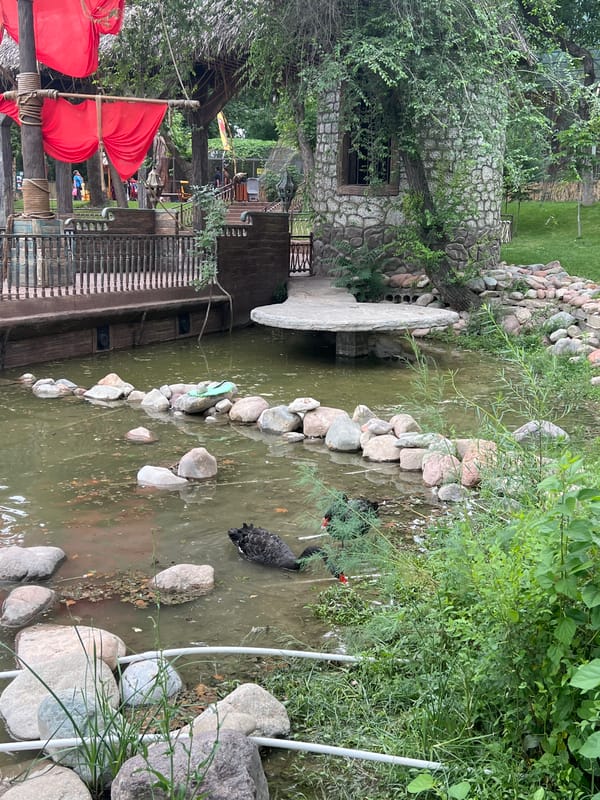 Visitor captures diverse attractions at Tashkent Eco Park and Zoo