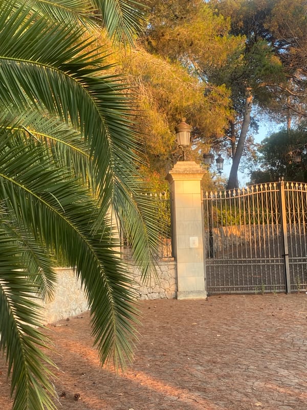 Golden hour tour of Hôtel du Cap-Eden-Roc, Antibes