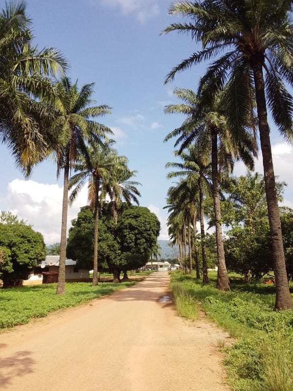 Palm-lined dirt roads and green fields in rural Serti, Nigeria