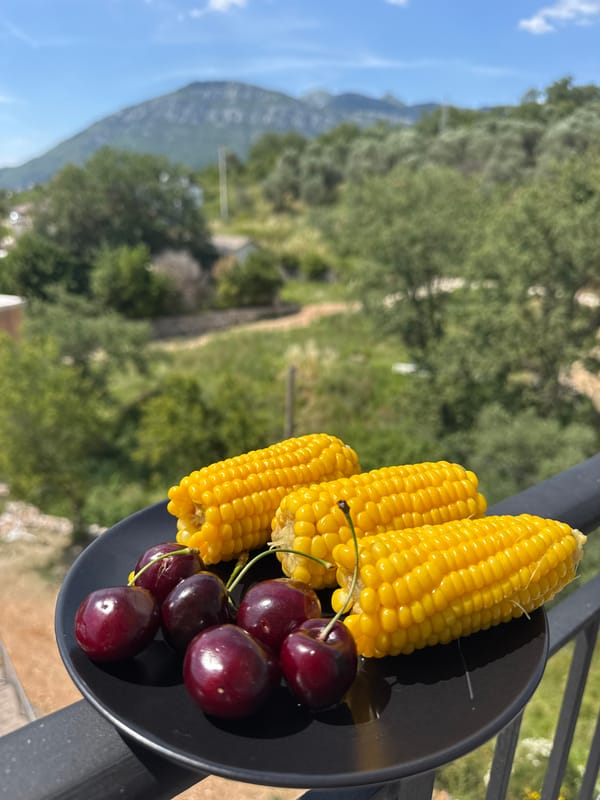 Balcony afternoon in Sustaš: olive hills, summer snacks, coastal views