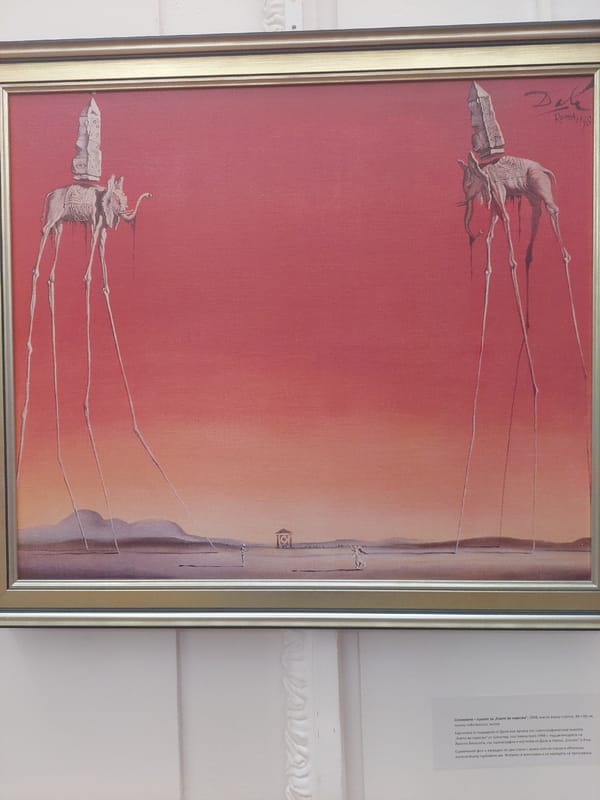 Salvador Dalí art exhibition documented at unknown museum location