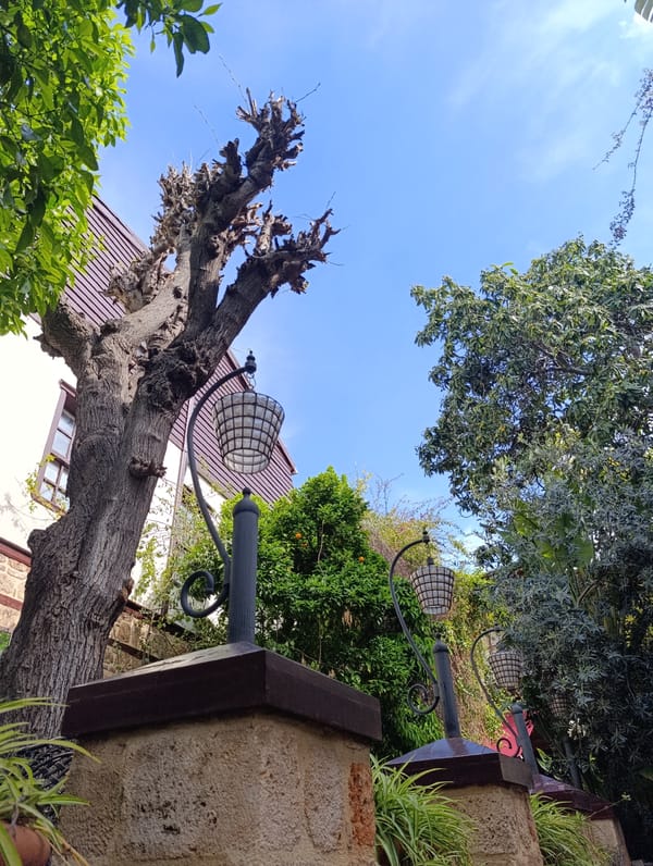 Morning breakfast scenes documented at Antalya restaurants