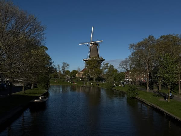 Afternoon leisure scene captured along Leiden canal near windmill