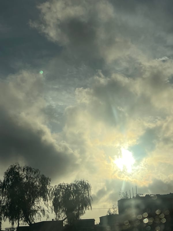 Everyday moments captured in Arica: cloudy skies, child, wandering dog