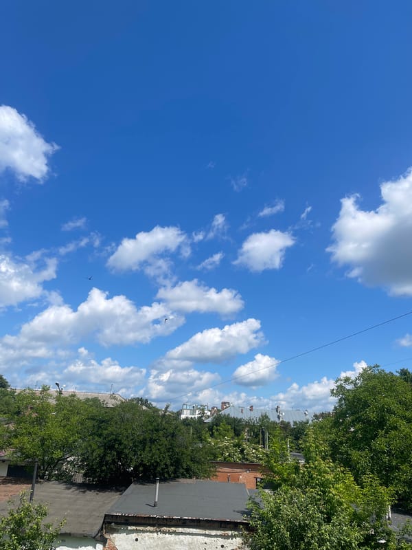 Morning suburban scenes: gardens, homes, cars documented June 10