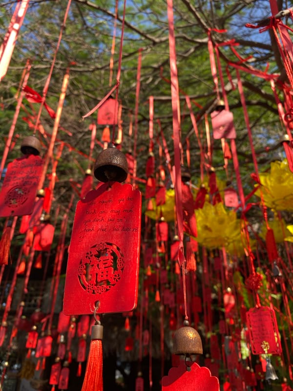 Exploring Linh Ứng Pagoda and Sơn Trà Peninsula, Đà Nẵng