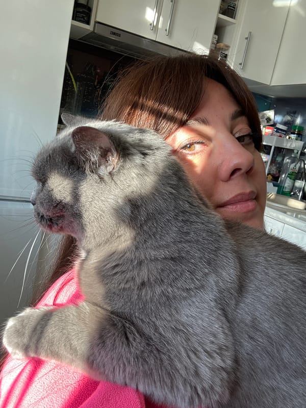 Woman takes selfies with gray cat in Riga apartment