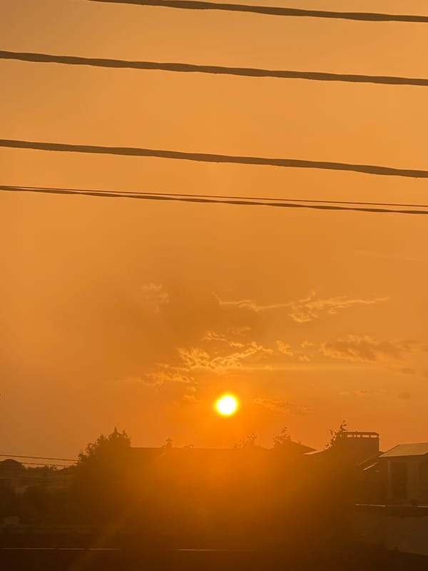 Golden-hour sunset documented across a quiet Novi Petrivtsi neighbourhood