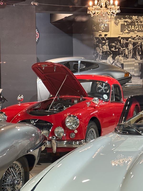 Cape Town bar scene documented during evening service hours