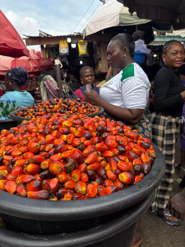 Morning market activity documented in Lekki Nigeria outdoor marketplace