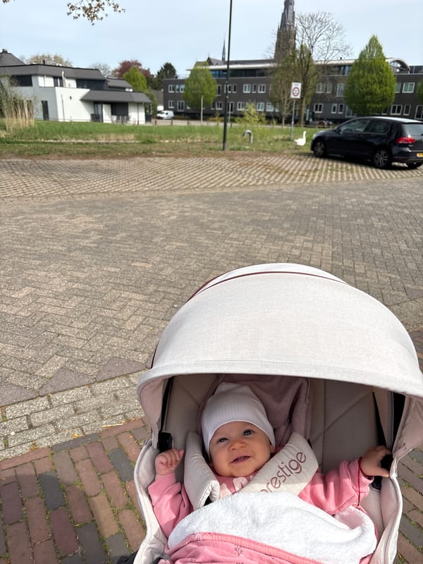 Baby in carriage, white goose spotted in Veghel neighborhood
