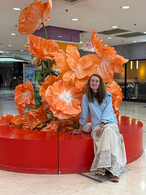Woman photographs decorative garden displays in Beijing's Dongcheng District