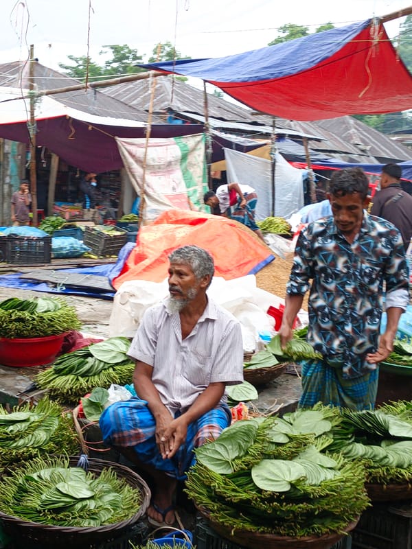 Rainy morning livestock market draws crowds in rural Asia