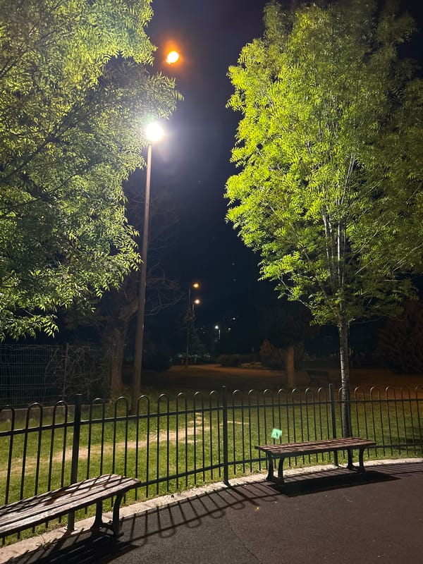 Evening park scene captured in Stara Zagora, Bulgaria