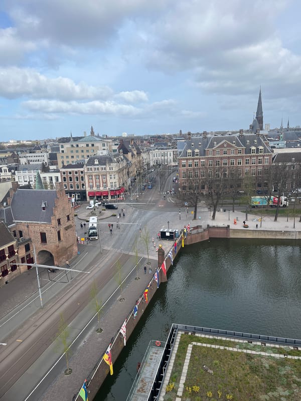 Morning scenes captured across The Hague's canals and markets