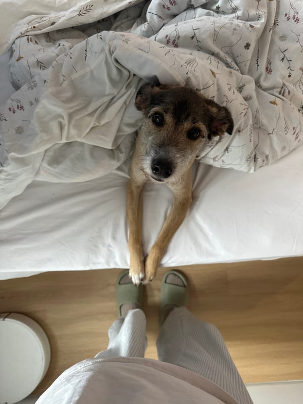 Quiet morning domestic scenes captured across Batumi residences