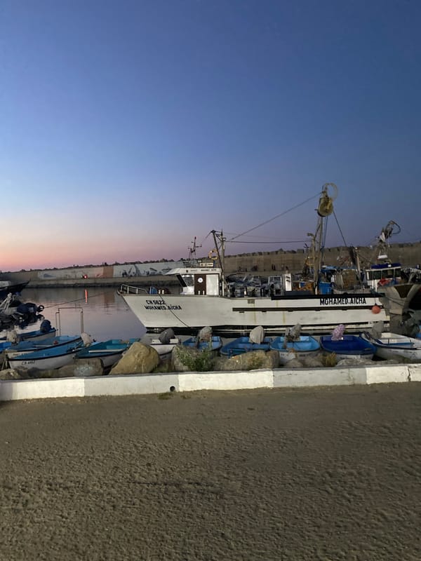 Fishing boats moored at dusk in Tipaza harbor
