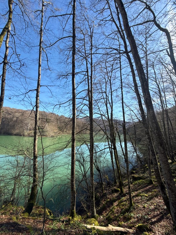 Turquoise river flows through forest near Orbaizeta, Spain