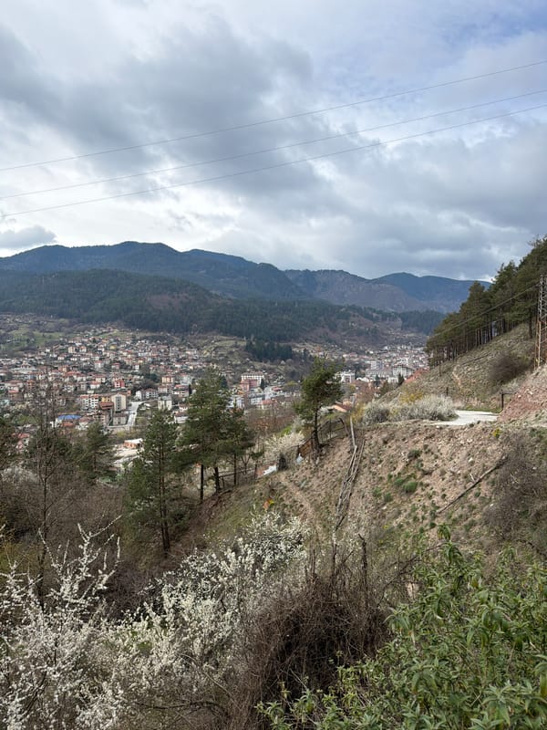 Overcast morning view captured of Devin, Bulgaria from elevated position