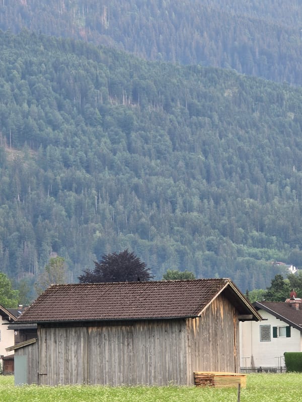 Alpine meadows, old barns, and Wetterstein peaks on a June evening