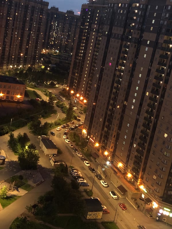 City skyline at dusk, plus cats on blankets
