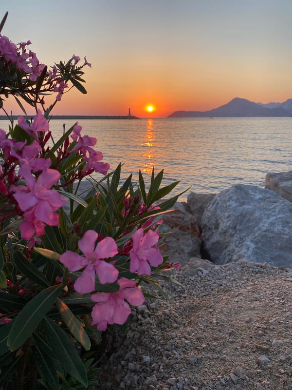 Sunset evening along the Bar, Montenegro waterfront