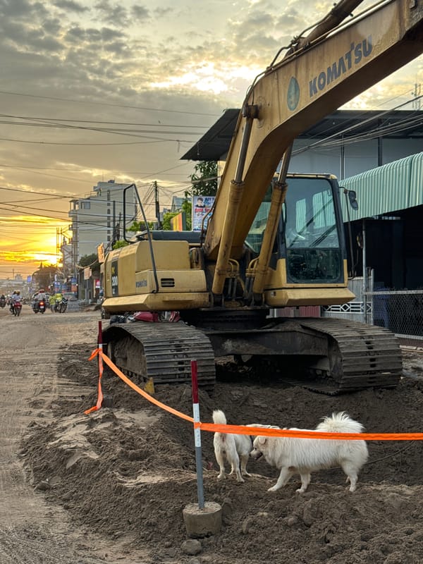 Construction site at dusk in Mũi Né, two dogs in tow