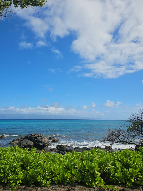 Coastal views and a garden Buddha in Napili, Hawaii