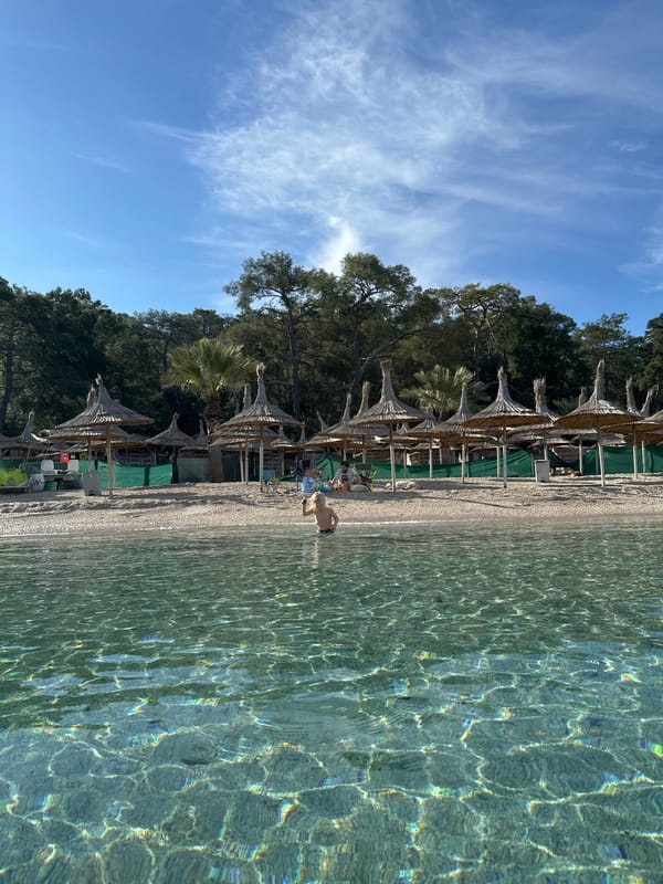 Morning beach scenes captured in Turkey show child, dog