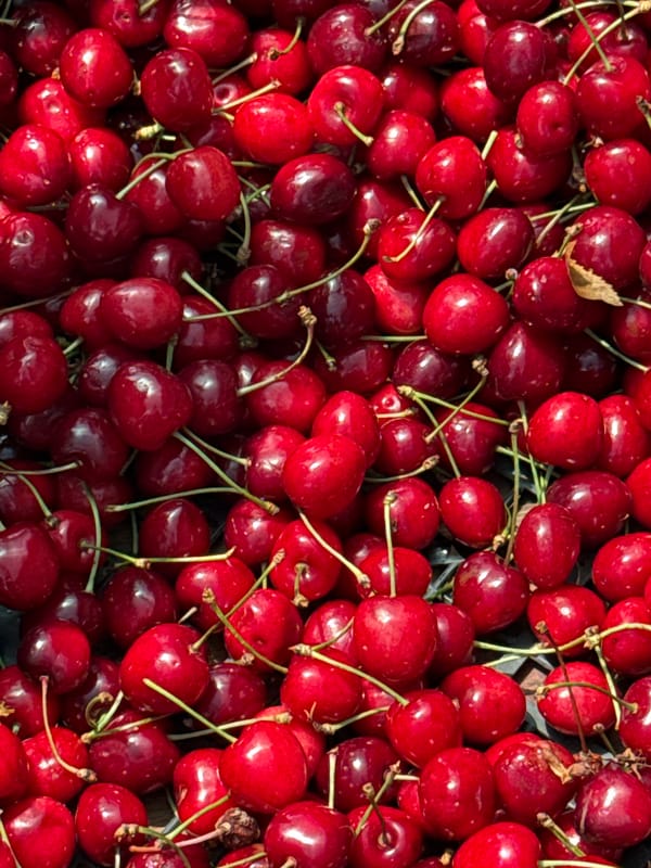 Woman documents fruit market visit and personal moments