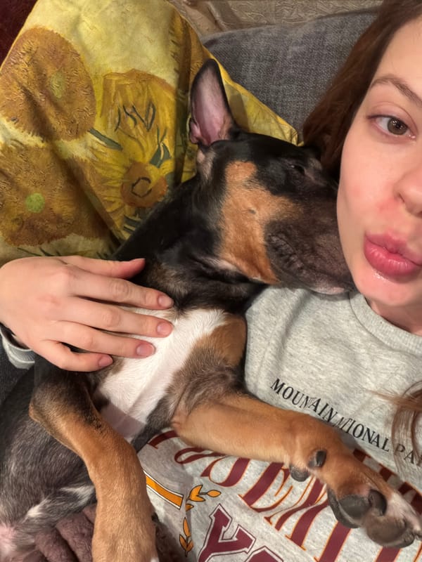 Woman cuddles tri-colored puppy in Khimki, Russia