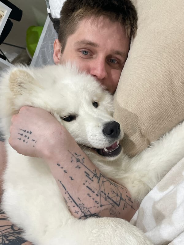 Domestic pet moments captured across homes during afternoon hours