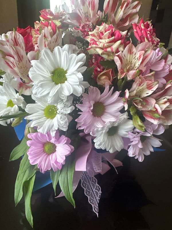 Flowers and a resting dog on a Lipetsk morning