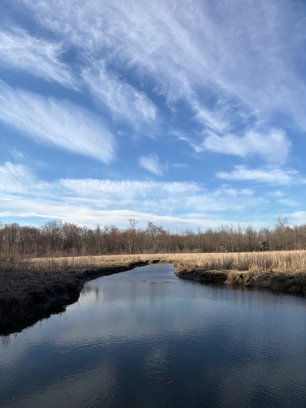 Landscape with cloudy sky observed in Catskill, New York