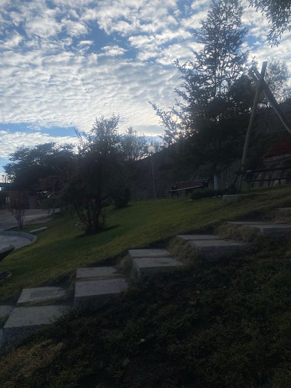 Spring day captured at Achocalla park in Bolivia