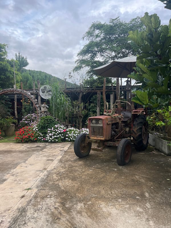 Morning at a rustic coffee farm in Vietnam's Central Highlands