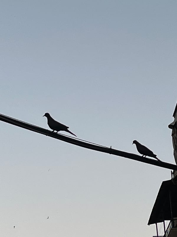 Syrian neighborhood life captured in 14 candid moments