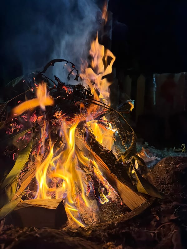 Evening campfire gathering with cooking and waterfront activities documented