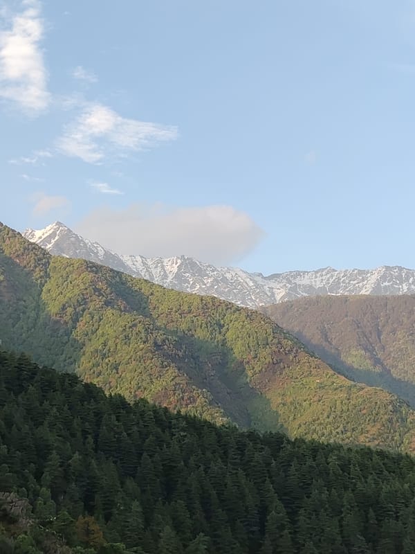 Mountain views captured in Dharamkot, India hillside town