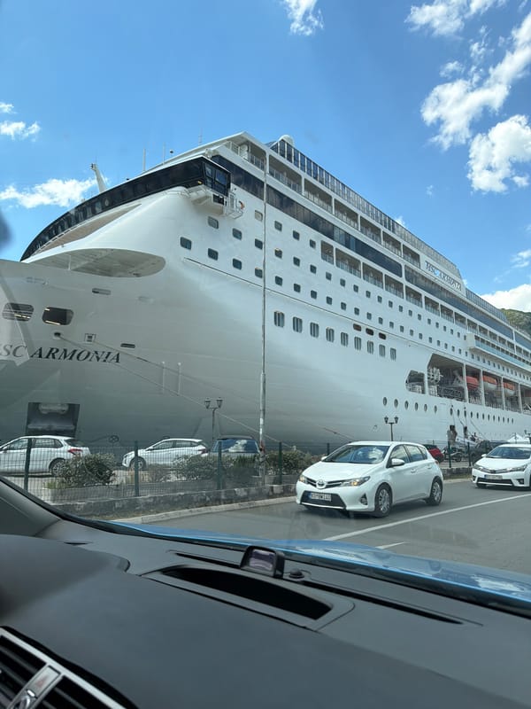 MSC Armonia cruise ship docks in Kotor, tourists gather