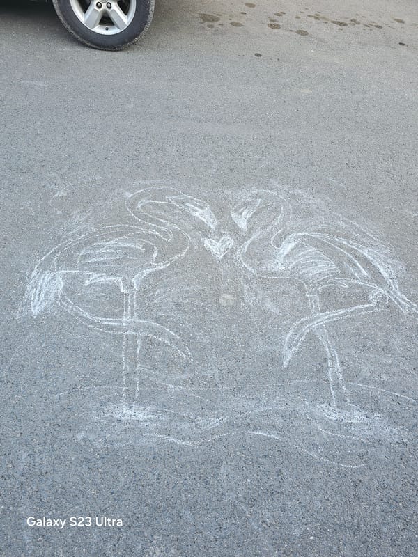 Street observations documented in Karnobat include chalk drawings, toy car