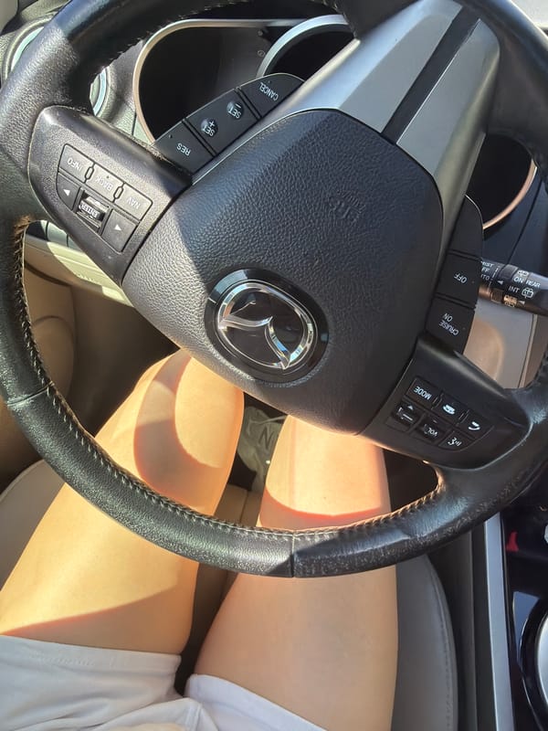 Driver observed in vehicle with leather steering wheel