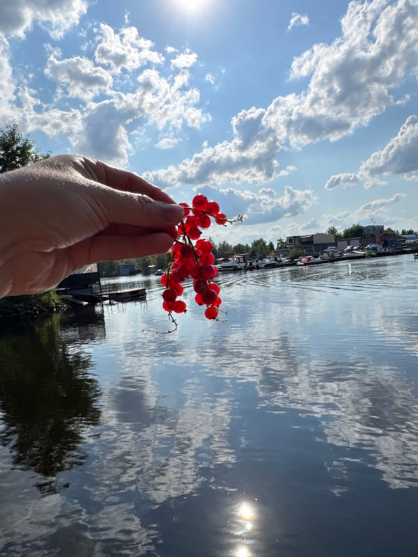 Summer afternoon along the Kama River in Chaikovsky, Russia