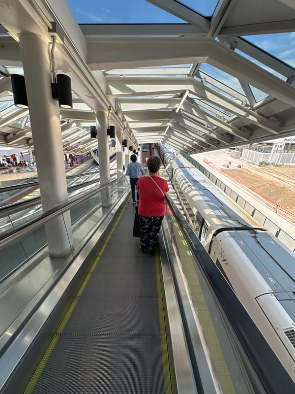 Travelers navigate busy Madrid train station during afternoon hours