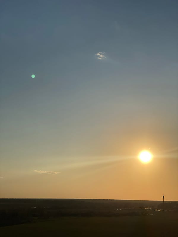 Sunset observed with blue-to-orange sky transition and visible treeline