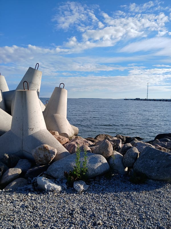 Tallinn's Baltic waterfront: shoreline, public art, and ferry terminal