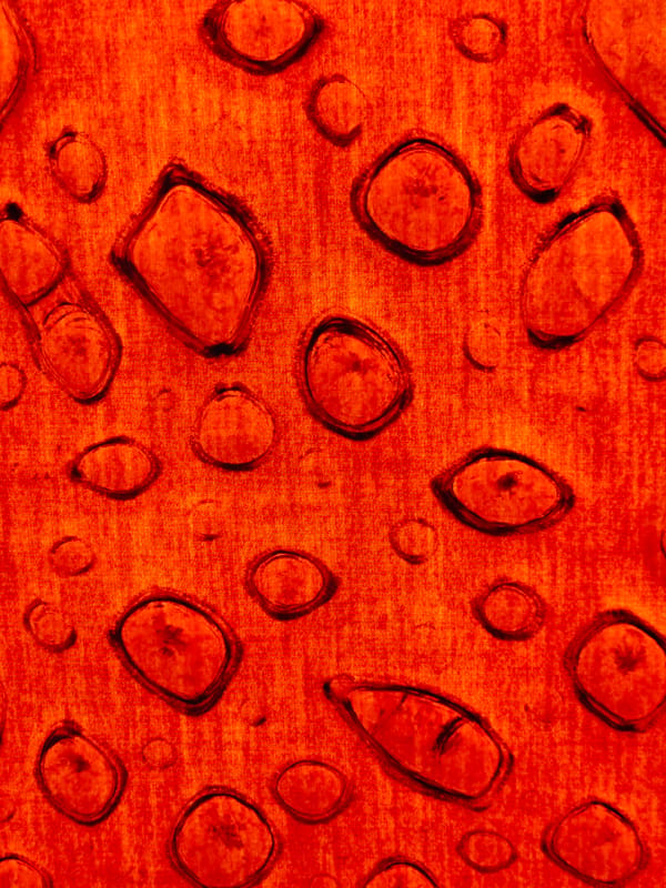 Abstract orange surface with dark shapes photographed in Finike